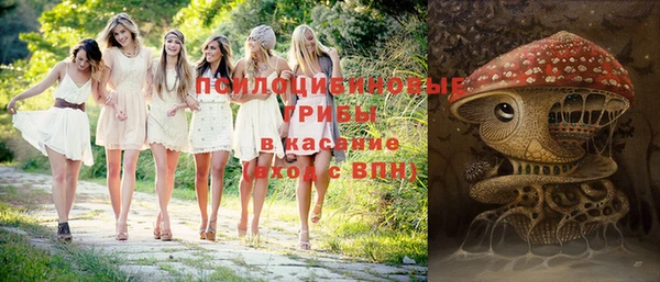 МДПВ Аркадак