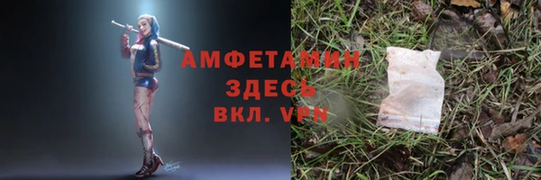 мет Арсеньев