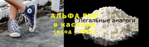 прущие грибы Пересвет
