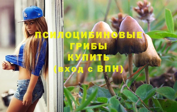 мет Арсеньев