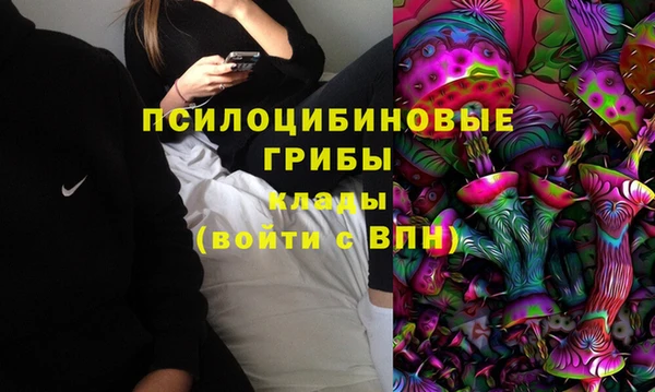 МДПВ Аркадак