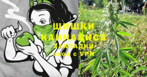 прущие грибы Пересвет