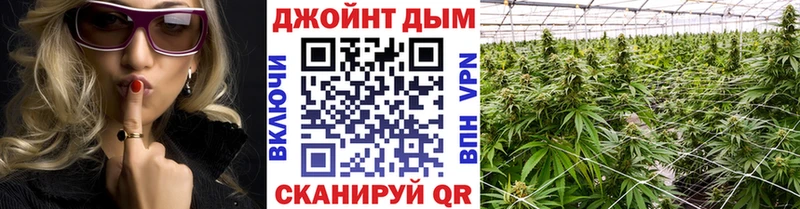 где найти наркотики  Сясьстрой  МАРИХУАНА MAZAR 